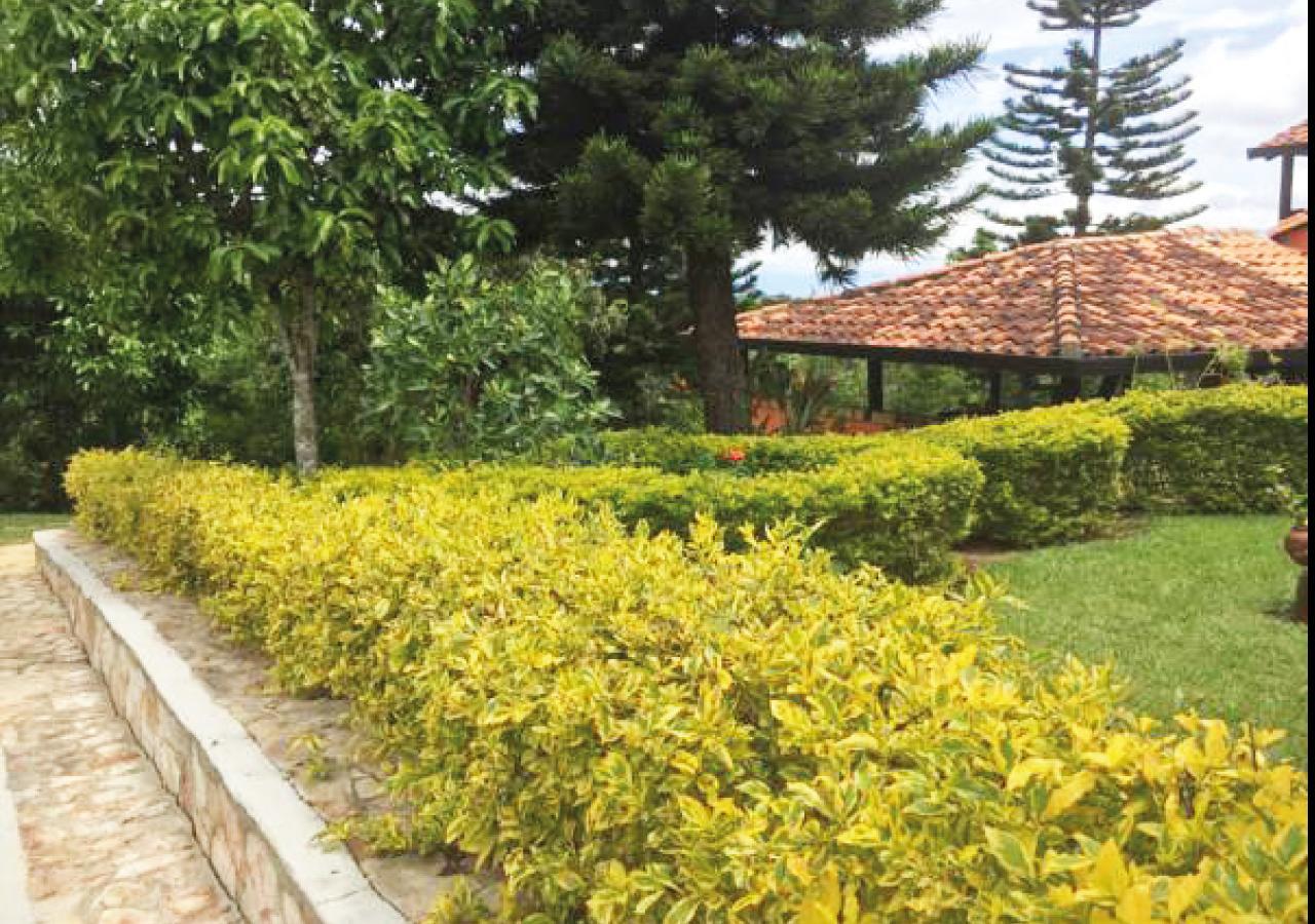 Hotel Cristo Rey Campestre Лос Сантос Екстериор снимка